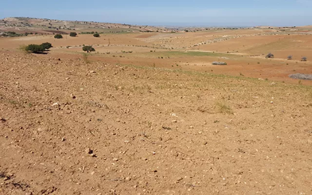 ورقة جديدة تعرض استراتيجيات التكيف مع التغير المناخي في المغرب