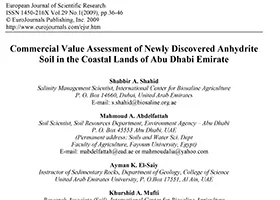 Commercial Value Assessment of Newly Discovered Anhydrite Soil in the Coastal Lands of Abu Dhabi Emirate
