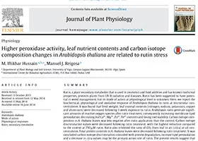 Higher peroxidase activity, leaf nutrient contents and carbon isotope composition changes in Arabidopsis thaliana are related to rutin stress