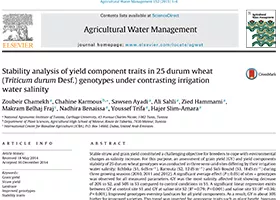 Stability analysis of yield component traits in 25 durum wheat(Triticum durum Desf.) genotypes under contrasting irrigationwater salinity