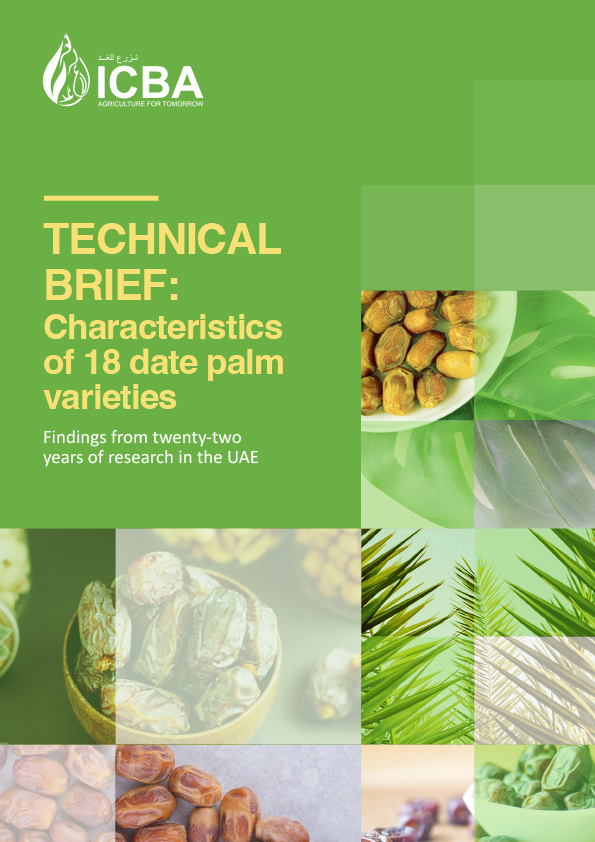 Technical brief: Characteristics of 18 date palm varieties Findings from twenty-two years of research in the UAE