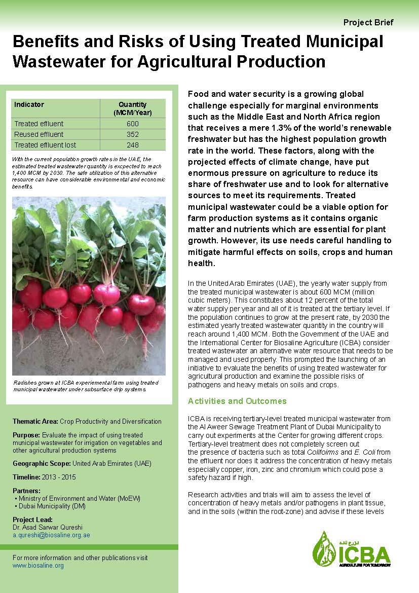 Project Briefs International Center for Biosaline Agriculture