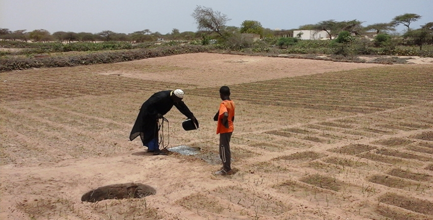 Scaling Up Small Scale Irrigation Technologies For Improving -
