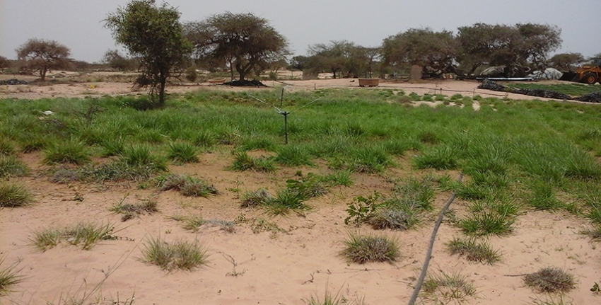 Scaling Up Small Scale Irrigation Technologies For Improving -
