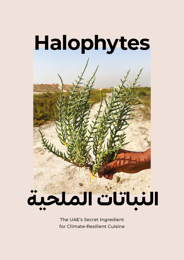 Halophytes Halophytes