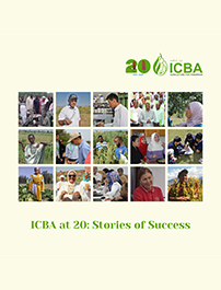 ICBA at 20: Stories of Success