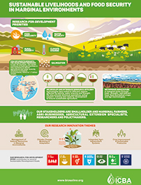  One-page infographic about ICBA