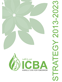 ICBA Strategy 2013-2023