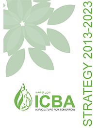ICBA Strategy 2013-2023 ICBA Strategy 2013-2023