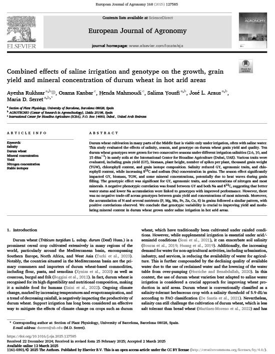 Combined effects of saline irrigation and genotype on the growth, grain yield and mineral concentration of durum wheat in hot arid areas