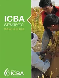  ICBA Strategy: Refresh 2019-2023