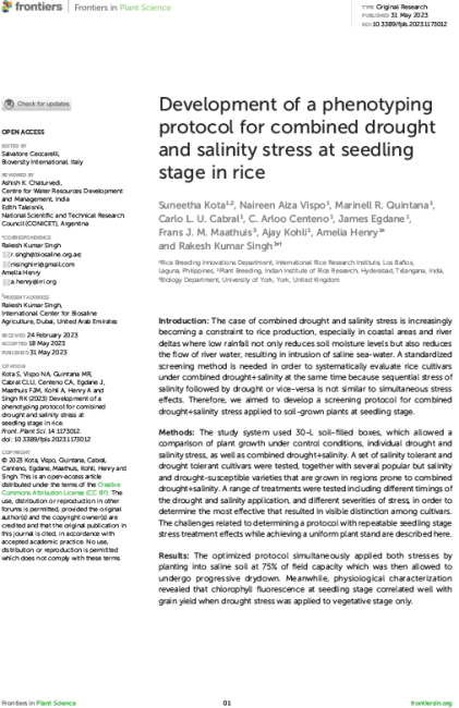 Development of a phenotyping protocol for combined drought and salinity ...