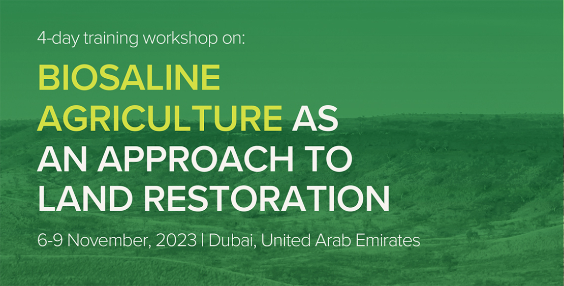 Biosaline agriculture as an approach to land restoration