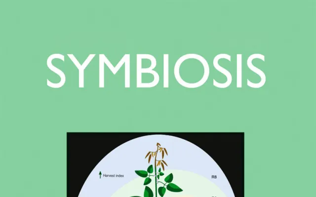 Arbuscular mycorrhizal fungal inoculation and previous crop influence pearl millet growth and yields in a Mediterranean arid environment