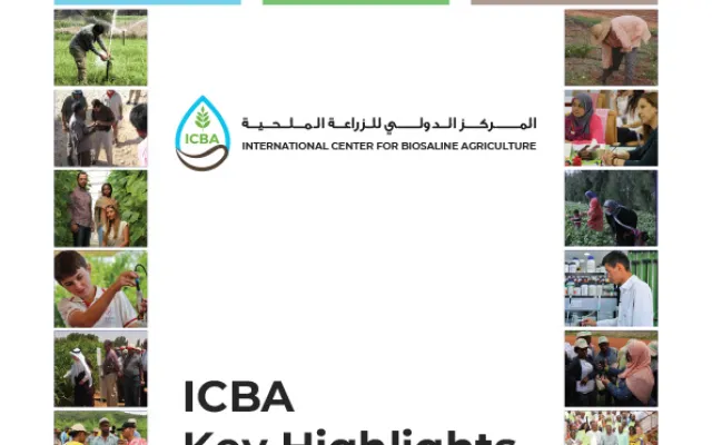   الربع الأول - الربع الرابع 2025