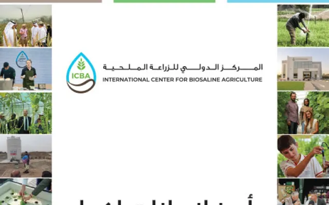 النصف الاول من سنة 2026