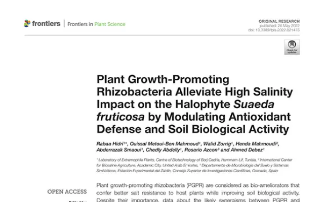 Plant Growth-Promoting Rhizobacteria Alleviate High Salinity Impact on the Halophyte Suaeda fruticosa by Modulating Antioxidant Defense and Soil Biological Activity