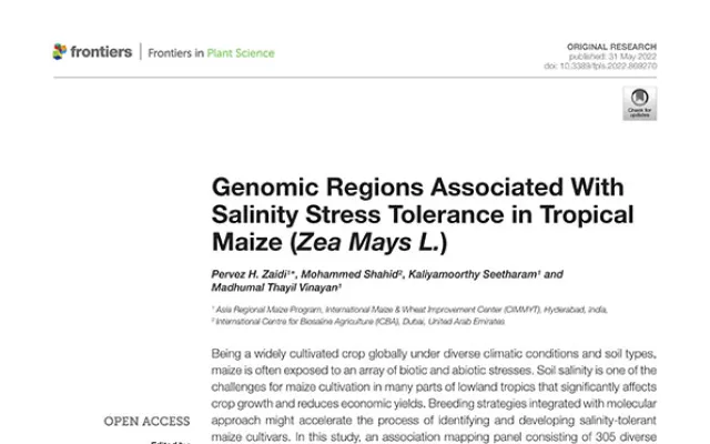 Genomic Regions Associated With Salinity Stress Tolerance in Tropical Maize (Zea Mays L.)