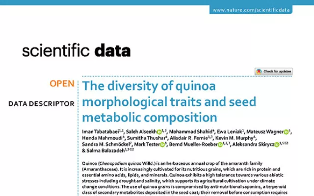The diversity of quinoa morphological traits and seed metabolic composition