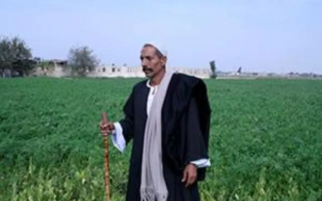تحويل سيناء إلى أرض خضراء  - قصة جمال الخولي