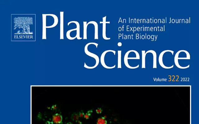 Comparative RNA-Seq analysis unravels molecular mechanisms regulating therapeutic properties in the grains of traditional rice Kavuni