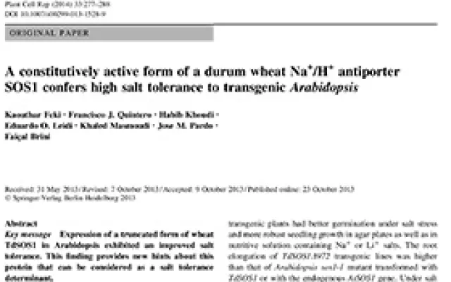 A constitutively active form of durum wheat Na+/H+ antiporter SOS1 confers high salt tolerance to transgenic Arabidopsis