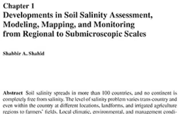 Developments in salinity assessment, modeling, mapping, and monitoring from regional to submicroscopic scales