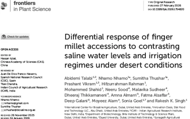 Differential response of finger millet accessions to contrasting saline water levels and irrigation regimes under desert conditions