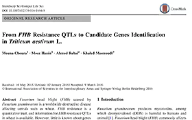 From FHB Resistance QTLs to Candidate Genes Identification in Triticum aestivum L.