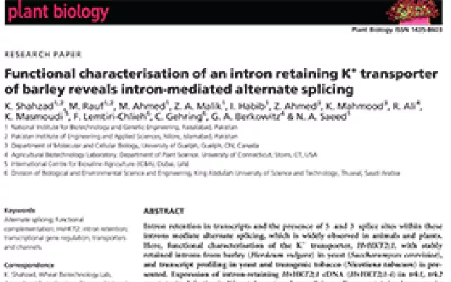 Functional characterisation of an intron retaining K+ transporter of barley reveals intron-mediated alternate splicing