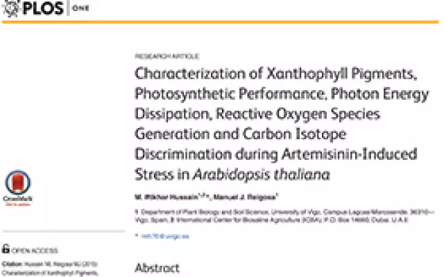 Chlorophyll pigments, photosynthetic performance and reactive oxygen species generation during artemisinin-induced stress in Arabidopsis thaliana