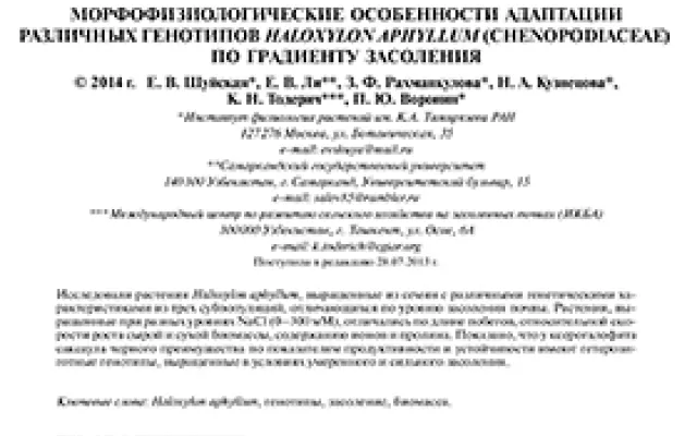 Morphophysiological adaptation aspects of different Haloxylon aphyllum (Chenopodiaceae) genotypes along a salinity gradient