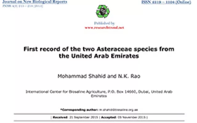 First record of the two Asteraceae species from the United Arab Emirates