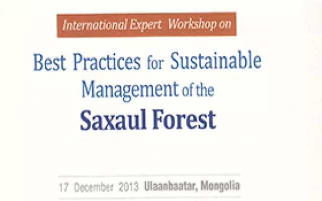 Genetic polymorphism and natural selection within populations of Haloxylon aphyllum under Kyzylkum saline desert environments