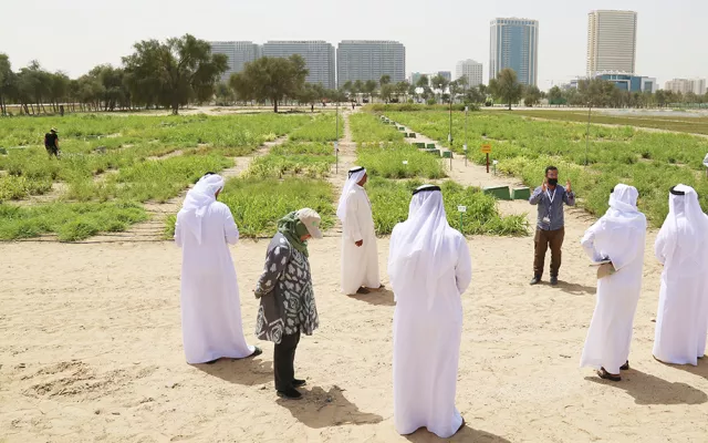 أطلق هذه المبادرة معالي مريم بنت محمد المهيري، وزيرة التغير المناخي والبيئة بدولة الإمارات العربية المتحدة، بهدف تعريف أصحاب الأعمال الزراعية الإماراتيين والمزارعين والمتخصصين في الإرشاد على التقنيات الزراعية المستدامة والمحاصيل المقاومة للمناخ والملائمة للبيئات المحلية التي طورها واختبرها إكبا وشركائه خلال السنوات الماضية.