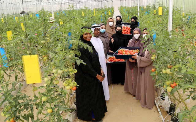 The event was hosted under ICBA’s community initiative called 3N, or the power of triple noon (derived from the Arabic letter ن, which is pronounced as noon). The three Arabic letters of the initiative represent three key actions: grow, harvest, and share.