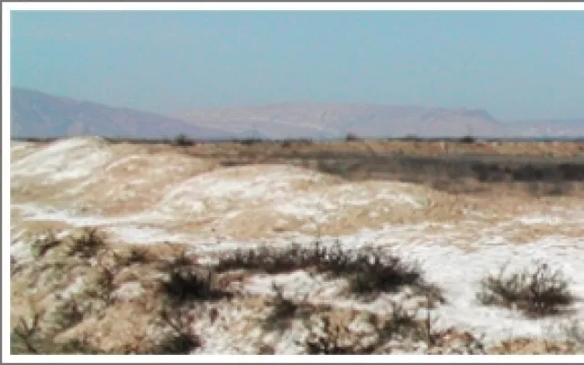 ICBA co-sponsors the 3rd International Salinity Forum