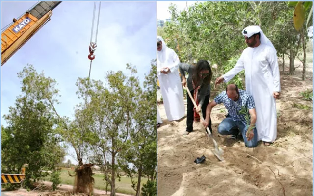 ICBA CELEBRATES WORLD ENVIRONMENT DAY 2013