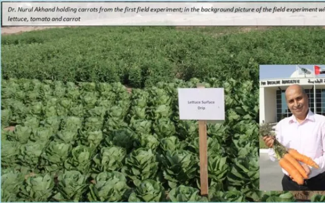 ICBA Management Reviews Progress of Internally Funded Research Projects