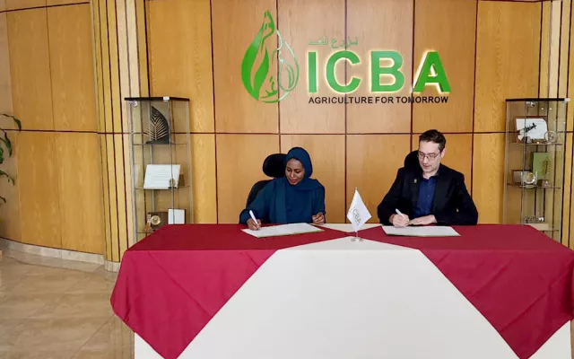 The International Center for Biosaline Agriculture (ICBA) and CIMMYT have signed an agreement to jointly advance the ecological and sustainable intensification of cereal and legume cropping systems in semi-arid and dryland areas.