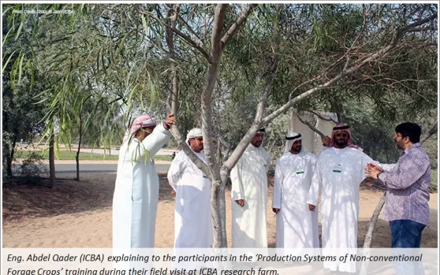 Production Systems of Non-conventional Forage Crops