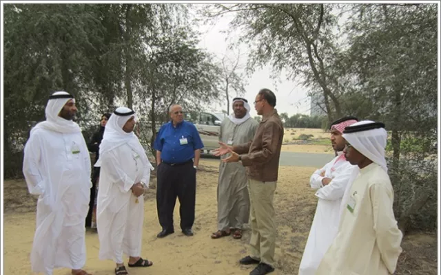 Production Systems of Field and Forage Crops in the UAE