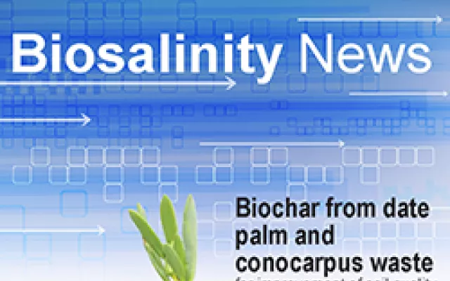 Biochar from date palm and conocarpus waste for improvement of soil quality and biomass production