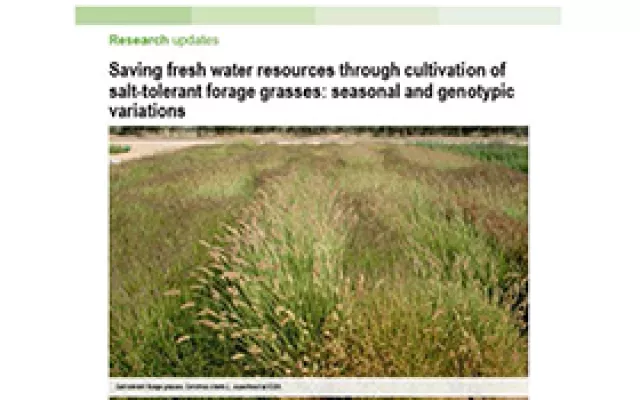 Saving fresh water resources through cultivation of salt-tolerant forage grasses: seasonal and genotypic variations