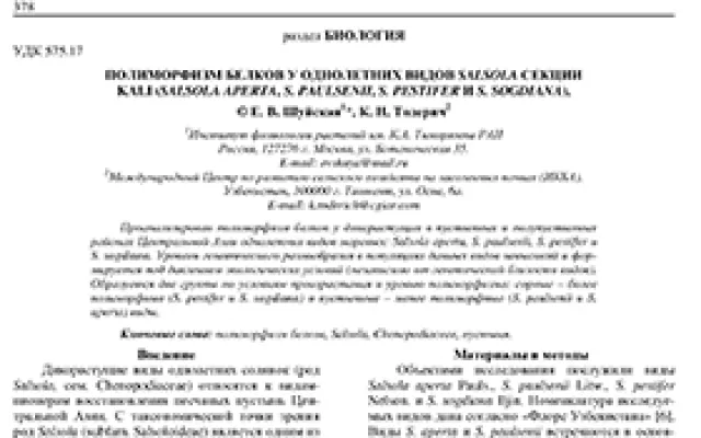 Polymorphism of protein of annual Salsola species section Kali