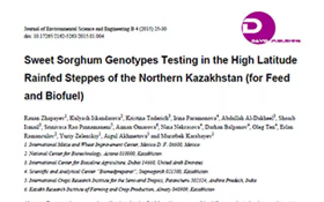 Sweet Sorghum in the North Kazakhstan