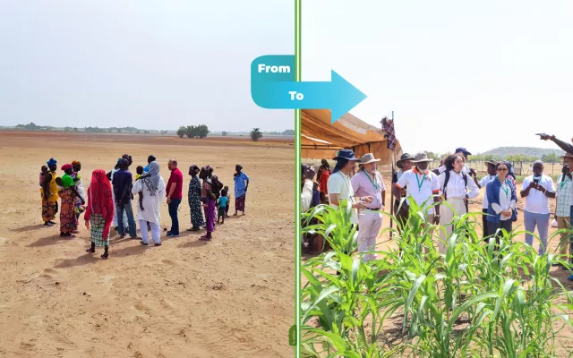 At the International Center for Biosaline Agriculture (ICBA), this commitment guides every area of our work. Whether restoring degraded lands, enhancing water use efficiency, or conserving crops’ biodiversity, we focus on supporting communities living in the world’s most resource-challenged saline,  arid and water scarce environments.