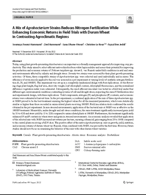A Mix of Agrobacterium Strains Reduces Nitrogen Fertilization While Enhancing Economic Returns in Field Trials with Durum Wheat in Contrasting Agroclimatic Regions