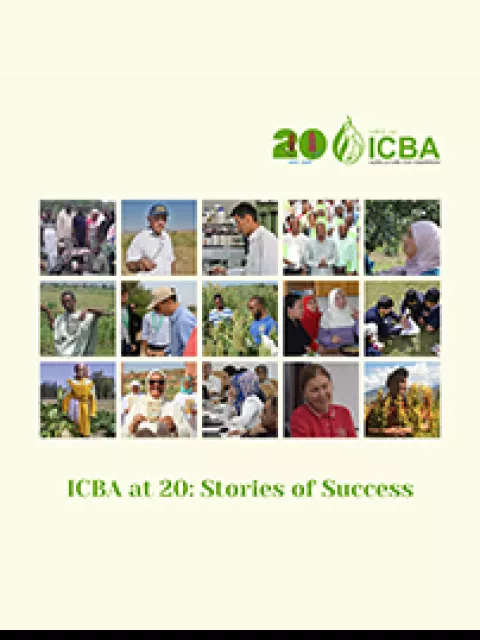 ICBA at 20: Stories of Success