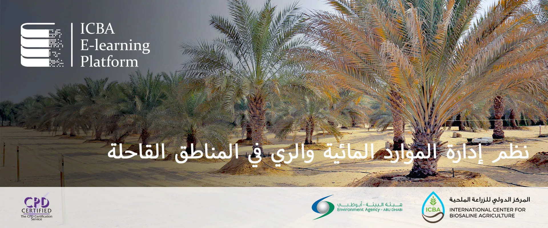 نظم إدارة الموارد المائية والري في المناطق الجافة